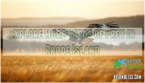 explore more: birds of prey in rhode island