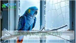 factors influencing sleep