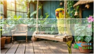 facts about love birds which you should know before getting a pair
