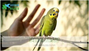 fear or fright fear or fright