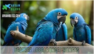 feather appearance changes