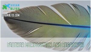 feather composition and regrowth feather composition and regrowth