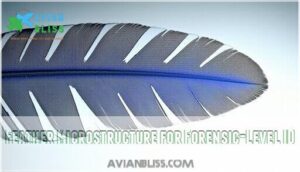 feather microstructure for forensic-level id