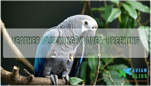 Bird Excessive Preening Health Concerns: Signs & Solutions