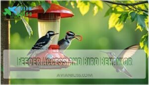 feeder access and bird behavior