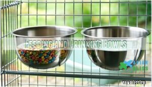 feeding and drinking bowls
