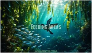 feeding areas