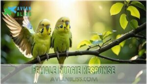 female budgie response