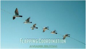 flapping coordination