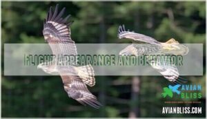 flight appearance and behavior
