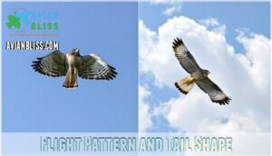 flight pattern and tail shape