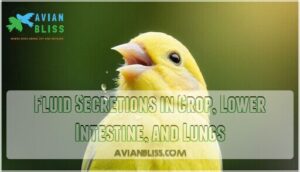 fluid secretions in crop, lower intestine, and lungs