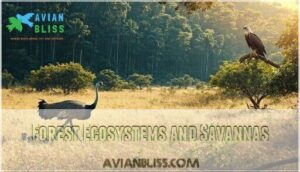 forest ecosystems and savannas