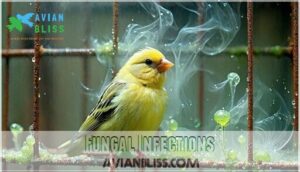 fungal infections