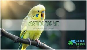 gasping for air gasping for air