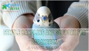 gentle handling and support for parakeets