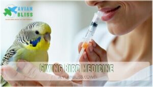 giving bird medicine
