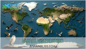 global distribution