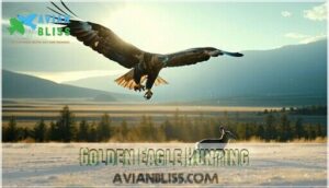 golden eagle hunting