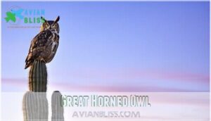 great horned owl