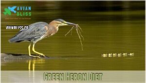 green heron diet
