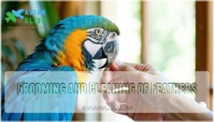 grooming and cleaning of feathers