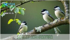 habitat and behavior