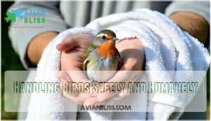 handling birds safely and humanely handling birds safely and humanely