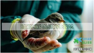 handling injured birds
