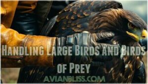 handling large birds and birds of prey