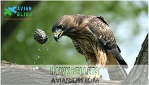 hawk pellets hawk pellets