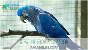 head tilting symptoms