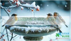 heating bird bath water