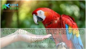 helps maintain feather health and insulation