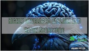 highly developed pallium and brain structure highly developed pallium and brain structure