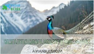 himalayan monal conservation status himalayan monal conservation status