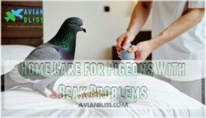 home care for pigeons with beak problems