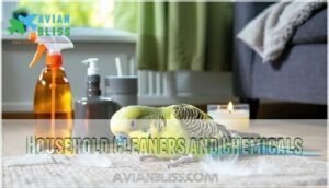 household cleaners and chemicals