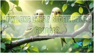 how long does a budgie hold a grudge
