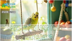 how to prolong your budgie's life