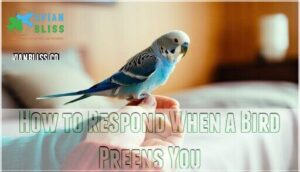 how to respond when a bird preens you