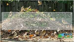 how to support small birds in california