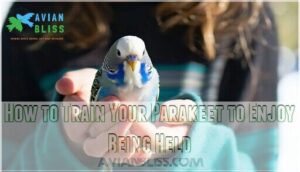 how to train your parakeet to enjoy being held
