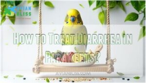 how to treat diarrhea in parakeets