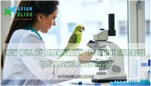 how will my veterinarian determine the cause of abnormal droppings