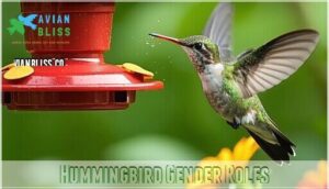 hummingbird gender roles