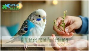 hunger and attention