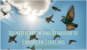 identification and behavior of european starling