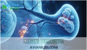 imaging techniques