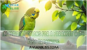 immediate actions for a parakeet with fast breathing immediate actions for a parakeet with fast breathing